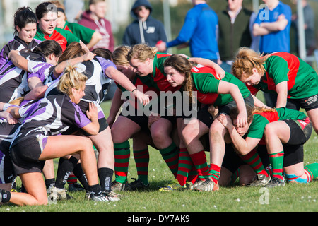 Aberystwyth university women (in red and green) playing rugby against Trinity St Davids university, Wales UK Stock Photo