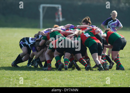 Aberystwyth university women (in red and green) scrumming down playing rugby against Trinity St Davids university, Wales UK Stock Photo