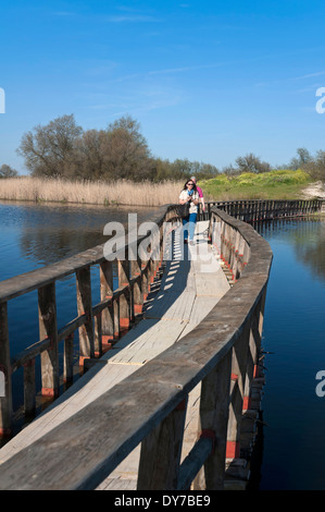 Tablas de Daimiel National Park - wetland and boardwalk, Ciudad Real-province, Region of Castilla - La Mancha, Spain, Europe Stock Photo