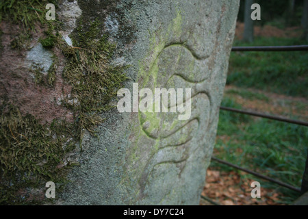 Pictish Serpent Stock Photo