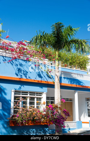 Blue house in Santa Marta, Colombia with blue sky and color flowers and palm tree Stock Photo