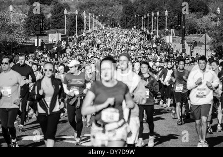 Runners competing in the Washington DC Cherry Blossom 10 Mile Race Stock Photo