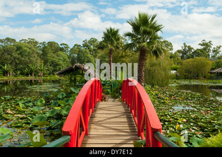 Bridge on Main Lake, Blue Lotus Water Gardens, Yarra Junction, Victoria, Australia Stock Photo