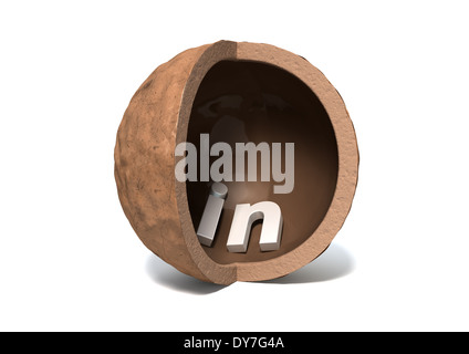 A hollowed out macadamia nut shell with a quarter segment cut away and the word in on the inside on an isolated white background Stock Photo