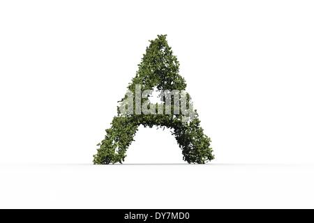 Capital letter a made of leaves Stock Photo