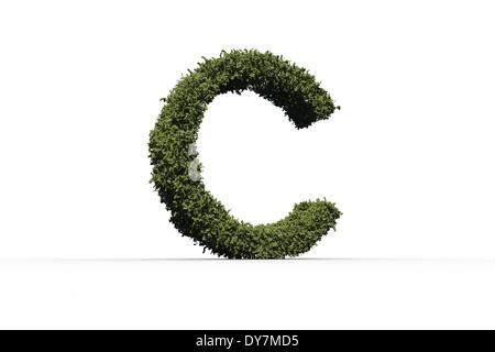 Capital letter c made of leaves Stock Photo