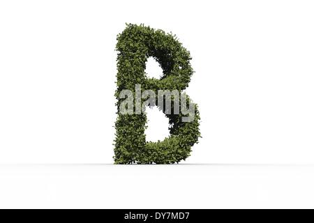 Capital letter b made of leaves Stock Photo