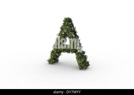 Capital letter a made of leaves Stock Photo