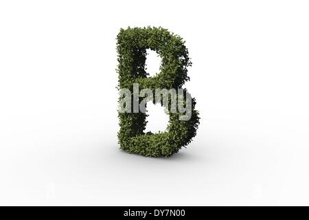 Capital letter b made of leaves Stock Photo