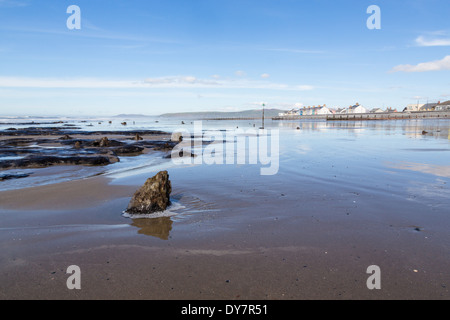 Sunken ancient Bronze Age forest at Borth beach, mid Wales Stock Photo