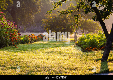 Early morning sunlight streaming through a garden Stock Photo