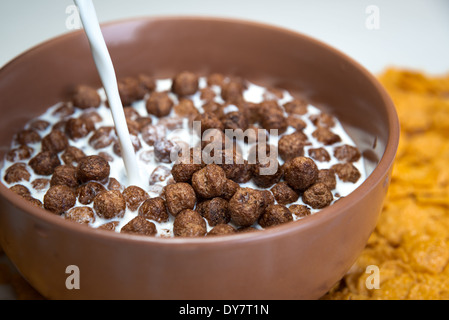 Chocolate corn flakes Stock Photo