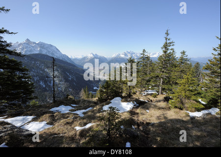 conifers with Mittenwald and Karwendel mountain range in the background, Bavaria, Germany Stock Photo