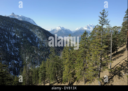 hiking trail through conifers with Karwendel mountain range in the background, Mittenwald, Germany Stock Photo