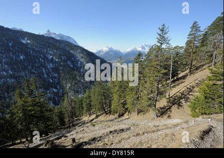 hiking trail through conifers with Karwendel mountain range in the background, Mittenwald, Germany Stock Photo