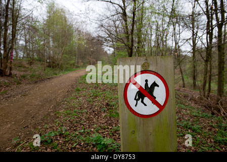 Mantle's Wood, near Hyde Heath in Buckinghamshire.  On the proposed HS2 train route through the Chilterns. Stock Photo