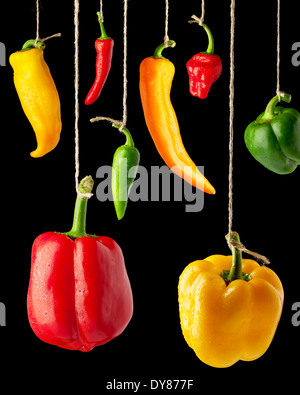 A mix of sweet and hot peppers hanging from natural twine against a black background Stock Photo