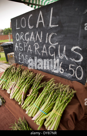 UK, England, East Sussex, Rye, Strand Quay, weekly farmer’s market, fresh local organic asparagus for sale Stock Photo