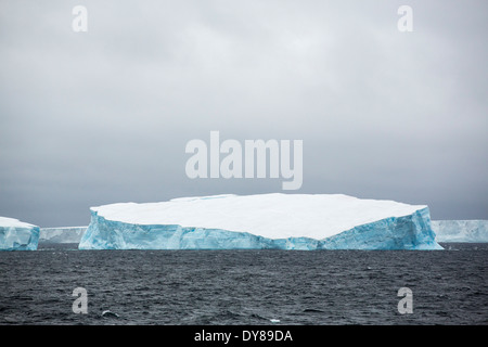 Icebergs off the South Orkney Islands, just off the Antarctic Peninsular. Stock Photo