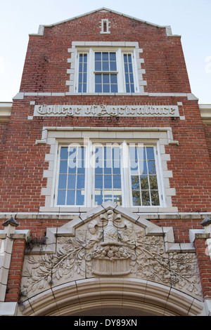 Stately Brick Classroom Building, University of Florida, Gainesville, FL, USA Stock Photo