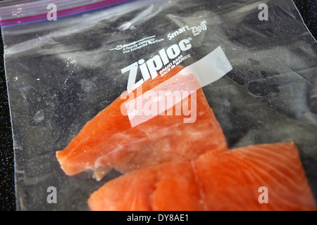 Ziploc bag containing salmon fillets ready for freezing Stock Photo
