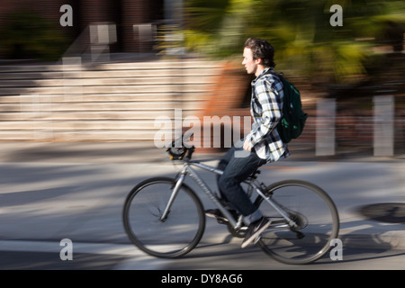 Student Riding  a Bike, University of Florida, Gainesville, FL, USA Stock Photo