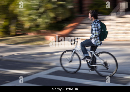 Student Riding  a Bike, University of Florida, Gainesville, FL, USA Stock Photo