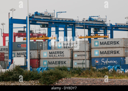 Gdansk's Deepwater Container Terminal 1 (DCT) in Gdansk, Poland Stock Photo