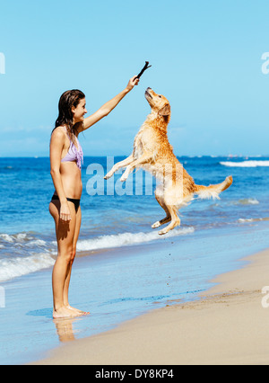 Young Woman Playing with her Adorable Golden Retriever at the Beach, Happy Dog Jumping up into the Air. Stock Photo