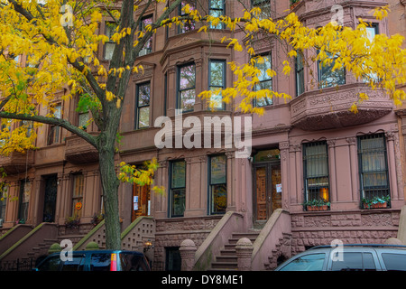 Harlem Row Houses in the Mount Morris Park Historic District, Autumn, New York, USA Stock Photo