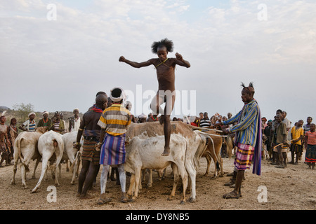 Ethiopia, South Omo, Turmi, bull jumping ceremony, naked Hamar man