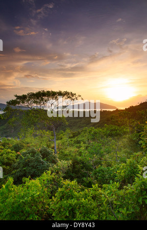 Philippines, Palawan, Port Barton, Elevated view of Albaguen Island and surrounding Islets Stock Photo