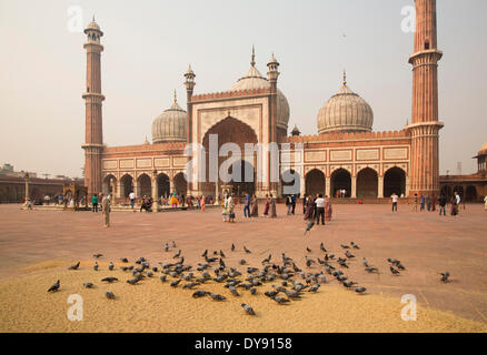 Jama Masjid, mosque, Old Delhi, Delhi, masterpiece, Mogul's architecture, Asia, church, religion, towers, place, pigeons Stock Photo