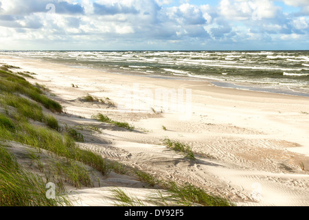 White sand beach. View to Baltic Sea Costline. Curonian Spit, Nida, Neringa, Lithuania Stock Photo