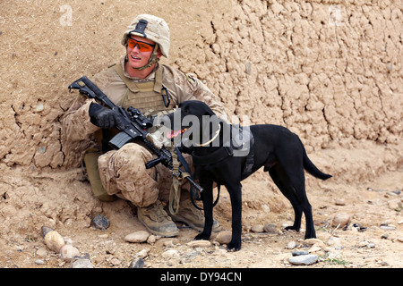 US Marine Lance Cpl. Andrew Day, an improvised explosive device detection dog handler waits in the shade with his dog during a patrol March 27, 2014 in Helmand province, Afghanistan. Stock Photo