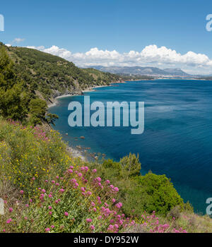 Footpath Chemin du Joncquet Mediterranean landscape water trees spring mountains sea La Seyne sur Mer Var France Europe, Stock Photo