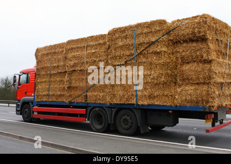 An unnamed flatbed truck carrying a load of hay bales along the A46 dual carriageway in Leicestershire, England Stock Photo