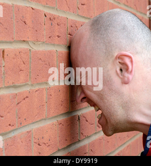 アート・デザイン・音楽 BANGING YOUR HEAD AGAINST A BRICK WALL Banging Your Head Against A Brick Wall – Post Modern Vandal