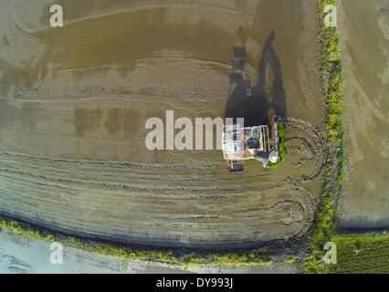 Yiwu. 10th Apr, 2014. An aerial photo taken on April 10, 2014 shows a farmer working in paddy field in Yiwu City, east China's Zhejiang Province. Local farmers in Zhejiang were busy transplanting rice seedlings after the Qingming Festival. © Xu Yu/Xinhua/Alamy Live News Stock Photo