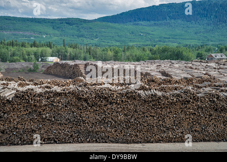 logging mill, chetwynd, bc, Canada, logs, wood, industry Stock Photo