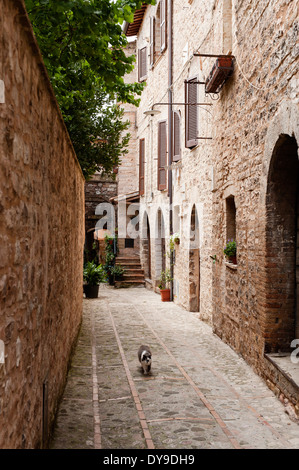 A narrow passage in the hillside Umbrian town of Spello Stock Photo
