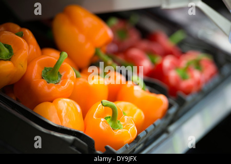 Fresh peppers for sale in a supermaket Stock Photo