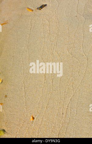 Natural Wave Marking in yellow Sand Stock Photo