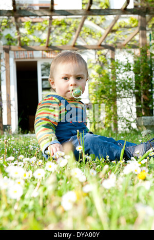Toddler sitting in yard, portrait Stock Photo
