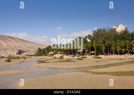 Beach Seashore Morro Jable Jandia Fuerteventura Canary islands Spain Europe beach Europe holidays palms Jable Jandia, Stock Photo