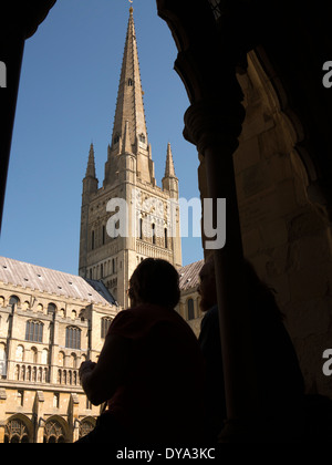 UK, England, Norfolk, Norwich, visitors admiring Cathedral from cloisters Stock Photo