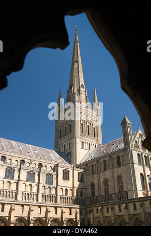 UK, England, Norfolk, Norwich, Cathedral from cloisters Stock Photo