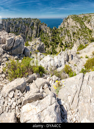 Calanque d'En-vau, calanque, rocky bay, landscape, summer, mountains, sea, Cassis, Bouches du Rhone, France, Europe, Stock Photo