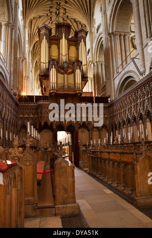 UK, England, Norfolk, Norwich, Cathedral carved choir Stock Photo