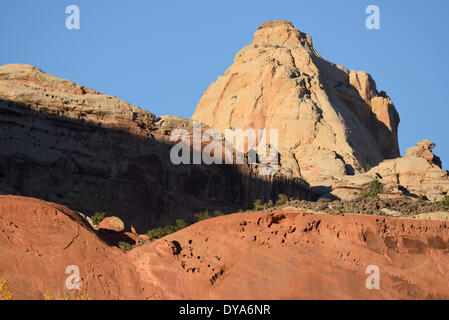 USA, America, United States, Utah, Colorado Plateau, southern, Capitol Reef, rock, sandstone, landscape Stock Photo